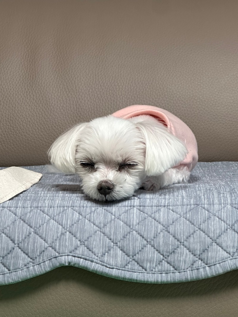 단비단비단비