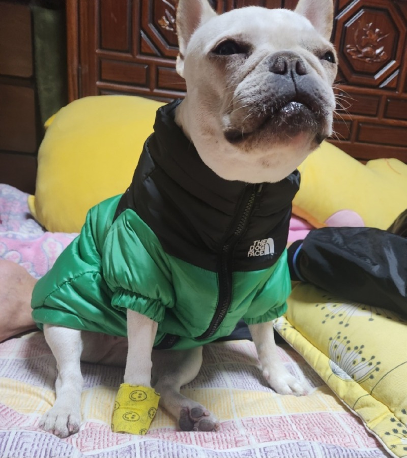 더도그페이스 패딩 (2).jpg