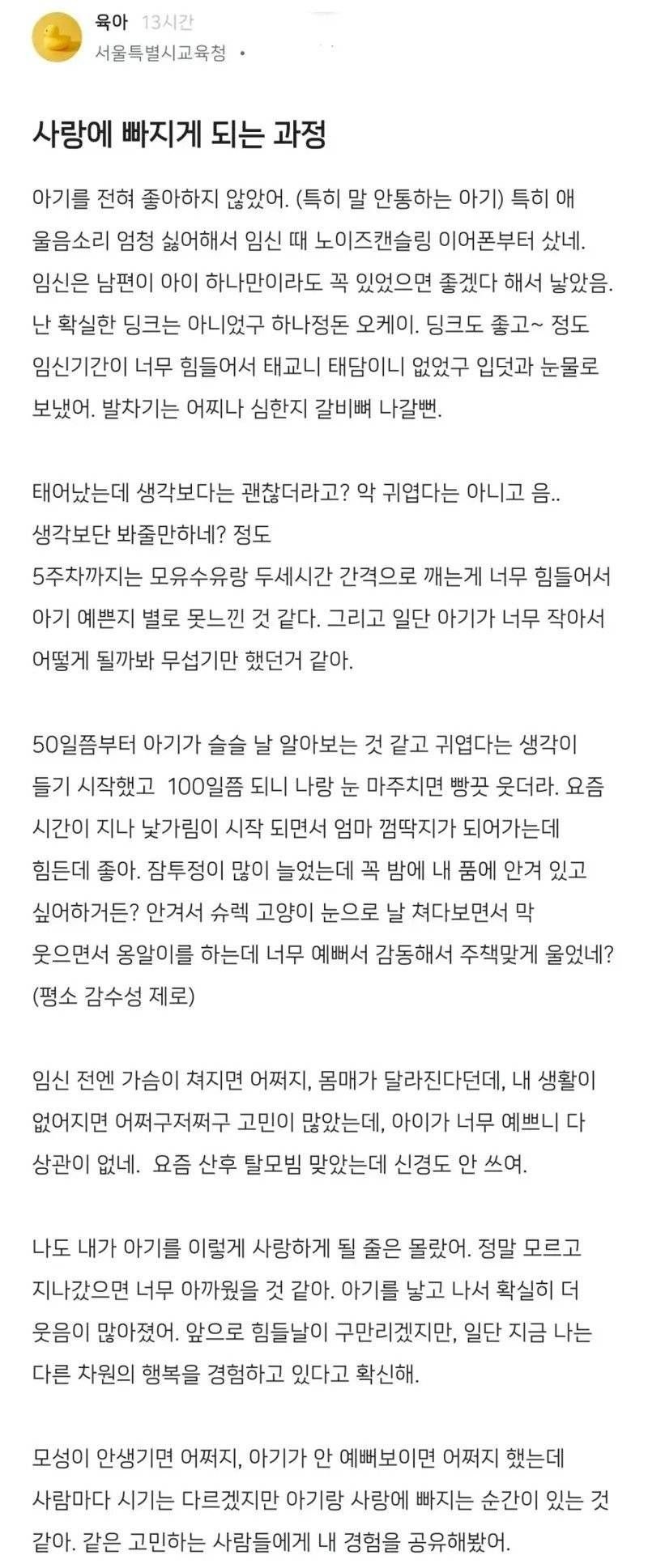 아기를 전혀 좋아하지 않았던 초보 엄마의 육아 후기.jpg