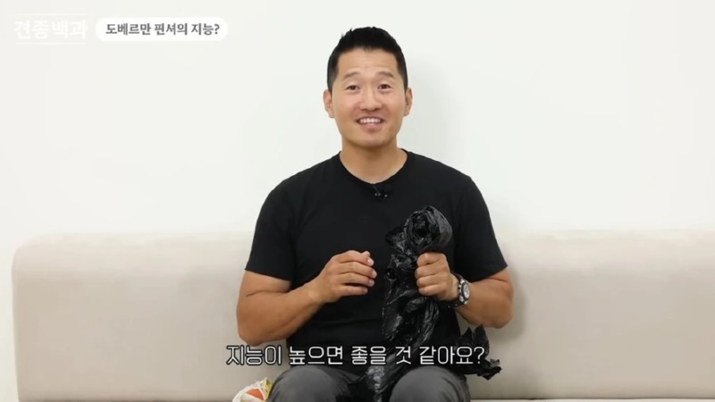 강형욱 훈련사님이 말하는 지능높은 견종 특징 