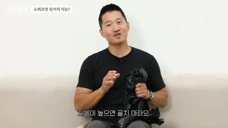 강형욱 훈련사님이 말하는 지능높은 견종 특징 