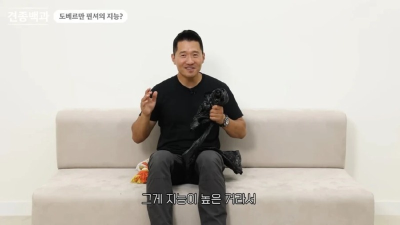 강형욱 훈련사님이 말하는 지능높은 견종 특징 