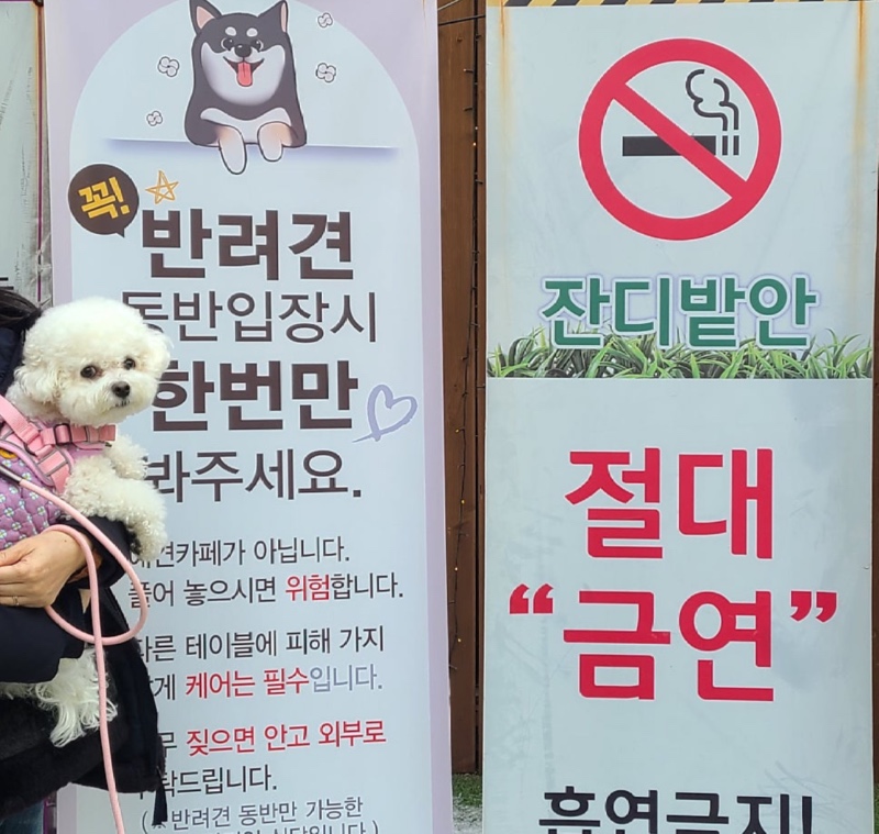 PPK 키친 반려견 동반 가능 식당 펍 