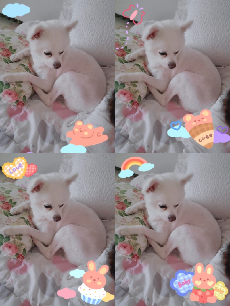 애깅 쪼꼬미시절