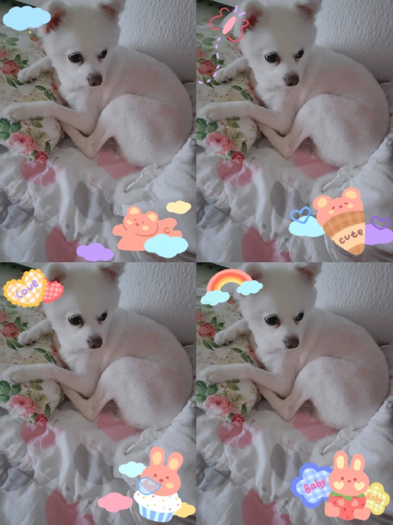 애깅 쪼꼬미시절