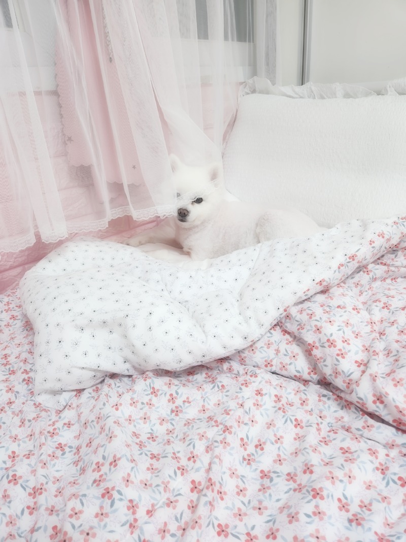 자두♡