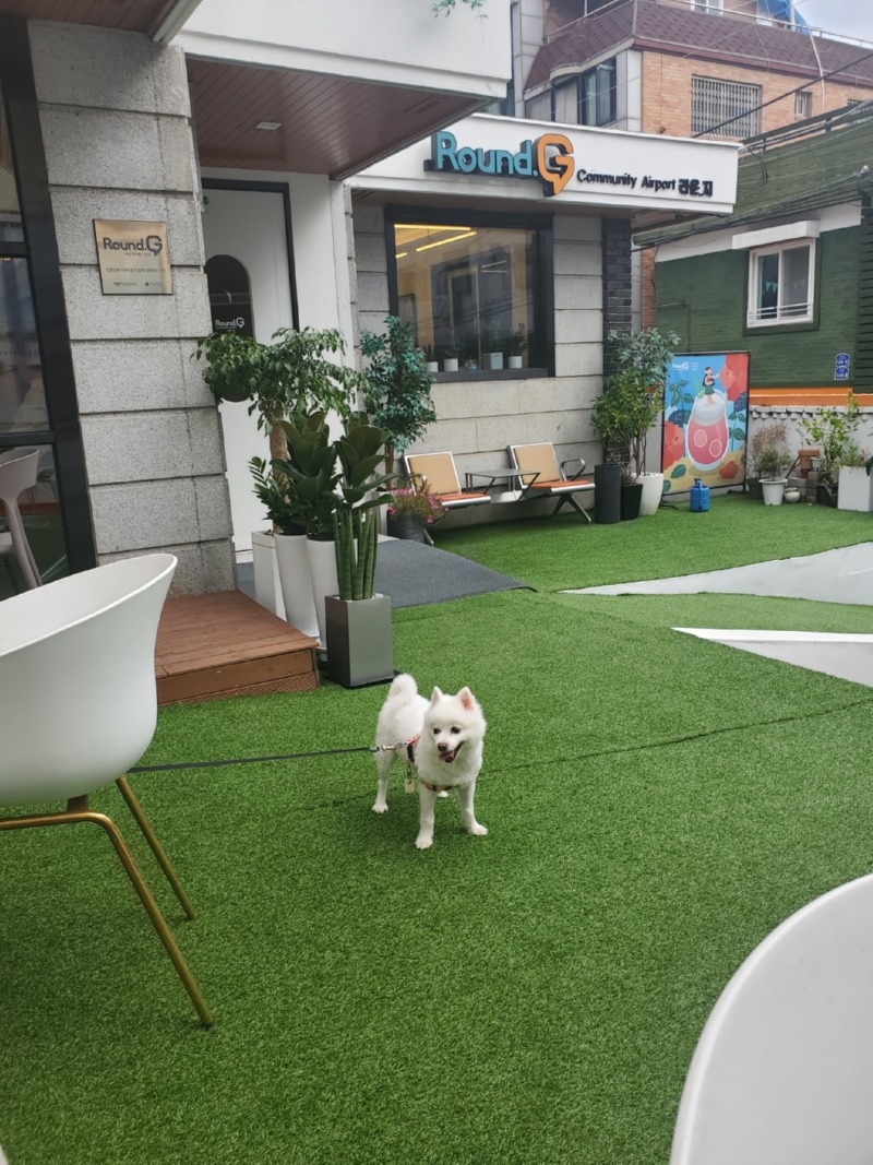 특색있는 비행기 카페 라운지카페