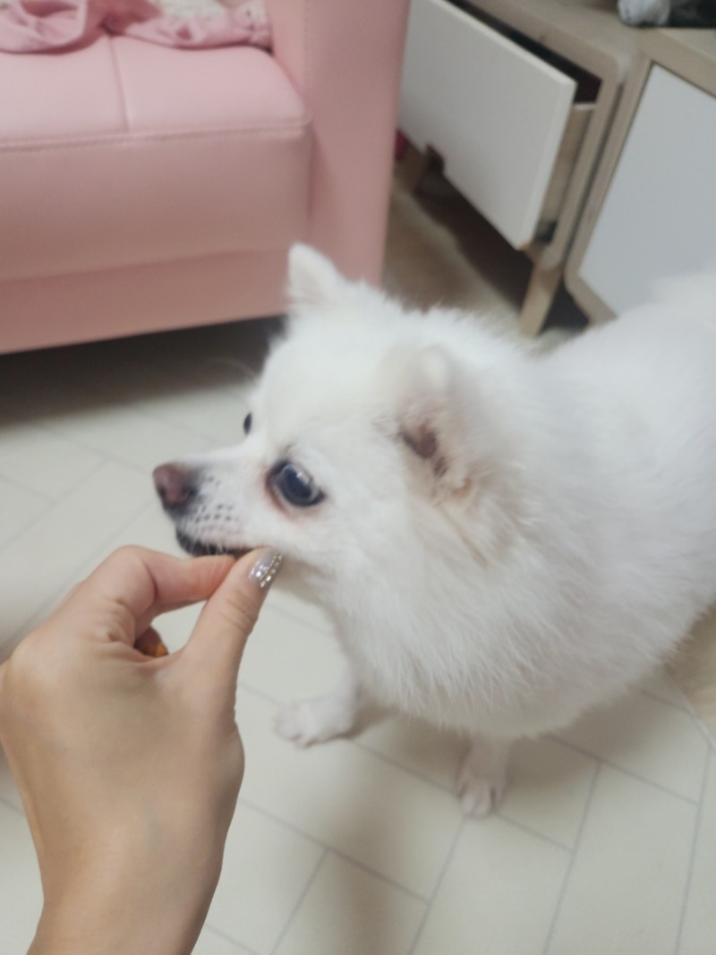 KakaoTalk_20241018_101325194_02.jpg