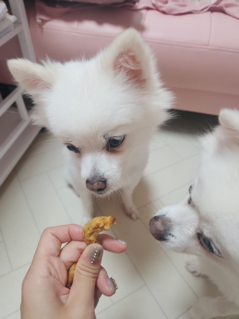 KakaoTalk_20241018_101325194.jpg