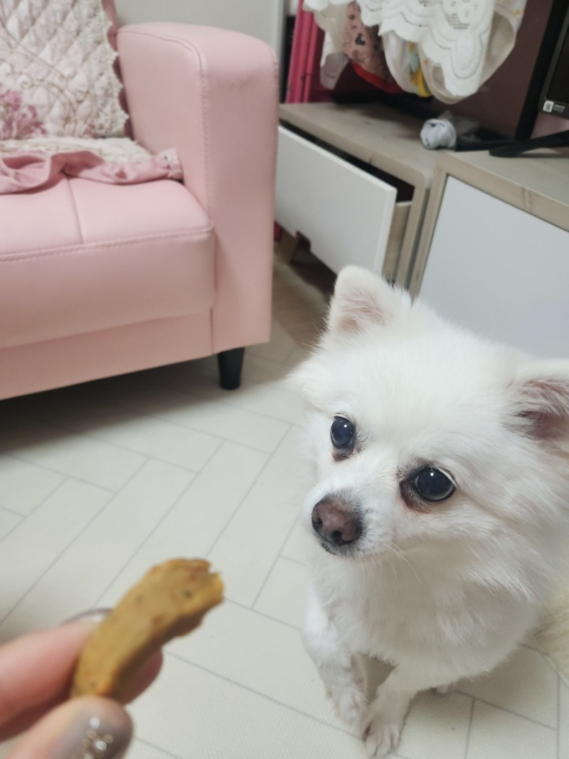 KakaoTalk_20241018_101325194_03.jpg