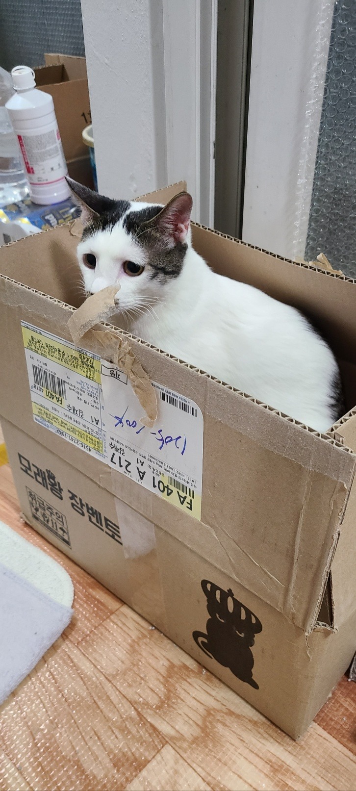 나른합니다
