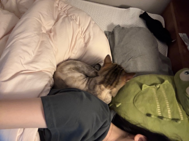 톨