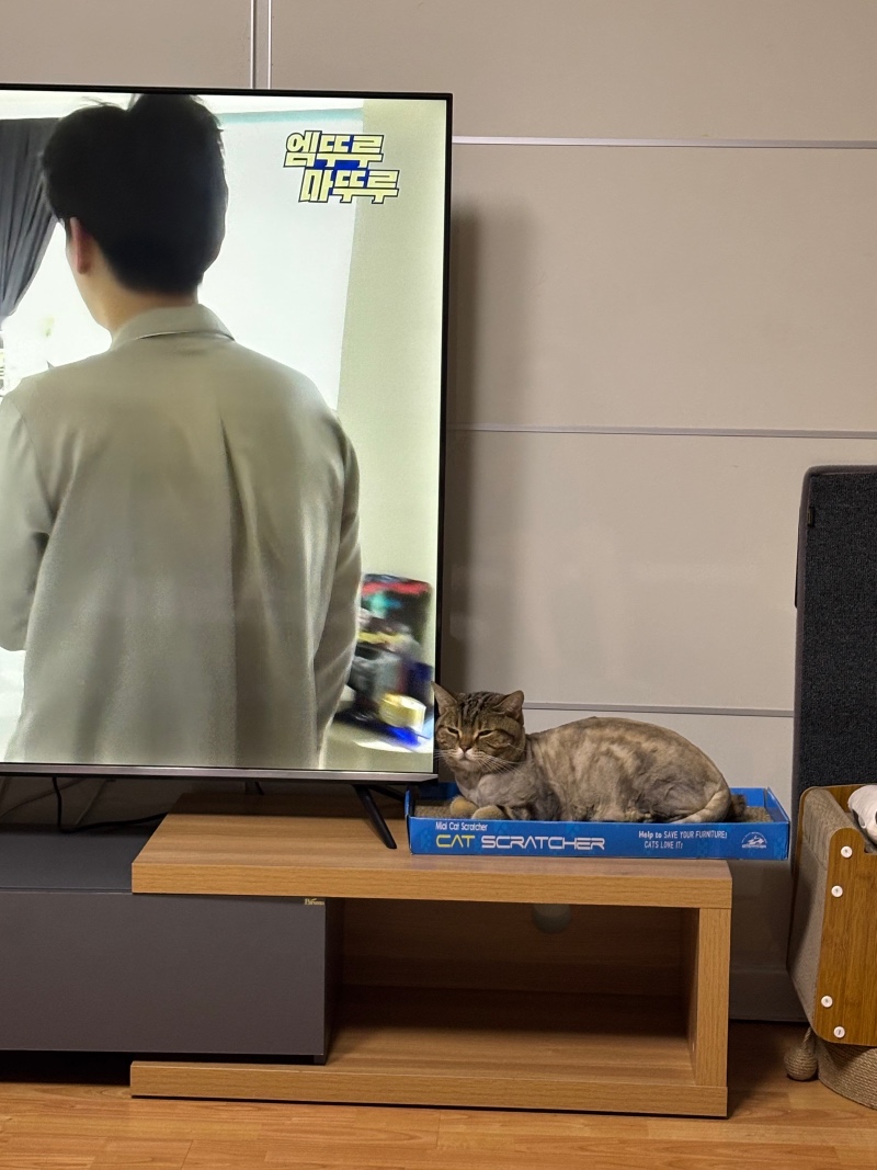 톨