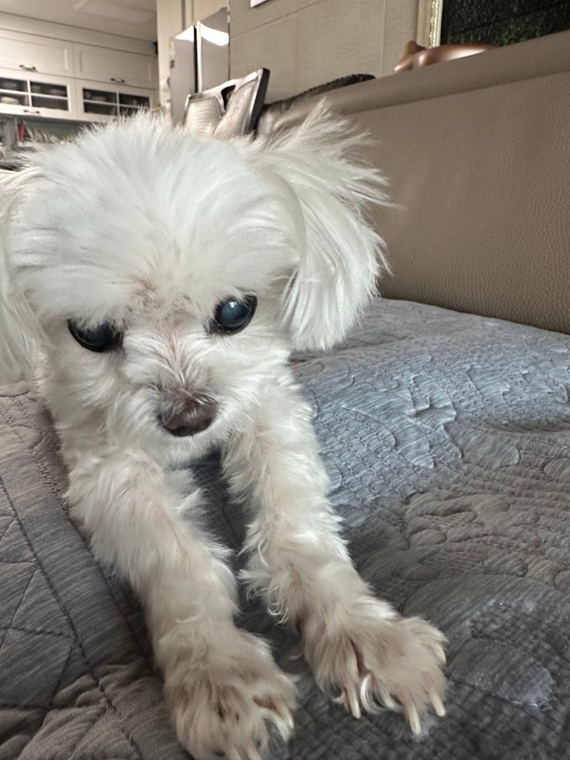 단비!