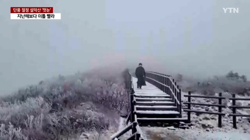 충격적인 한국의 기온