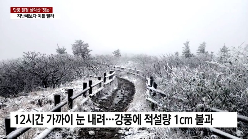 충격적인 한국의 기온