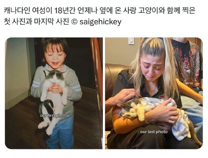오랜 친구의 처음과 마지막 사진 