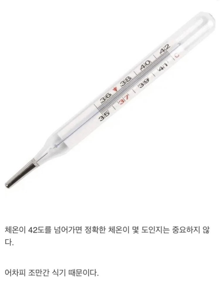 체온계가 42도 밖에 못 재는 이유