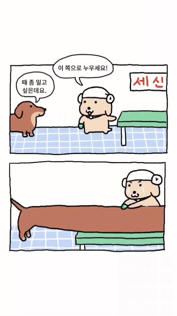 때를 밀러 온 닥스훈트 