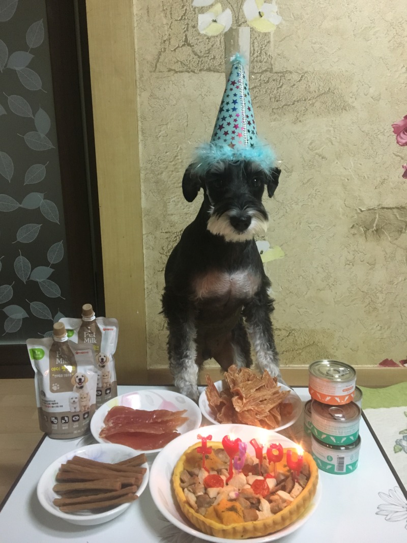 코코 열번째 생일잔치 