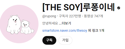 강아지 인플루언서 2탄 , 개플루언서 모음2