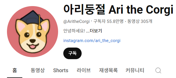 강아지 인플루언서 2탄 , 개플루언서 모음2