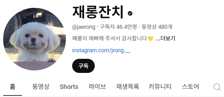 강아지 인플루언서 2탄 , 개플루언서 모음2
