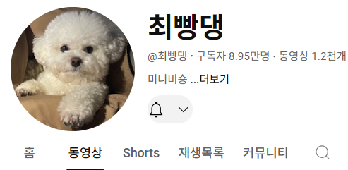 강아지 인플루언서 2탄 , 개플루언서 모음2