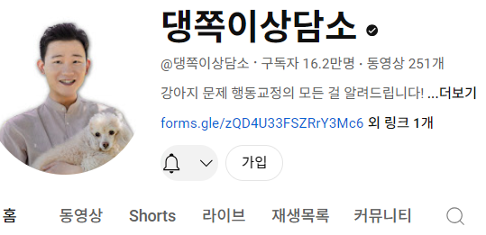 강아지 인플루언서 2탄 , 개플루언서 모음2