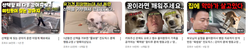강아지 인플루언서 2탄 , 개플루언서 모음2