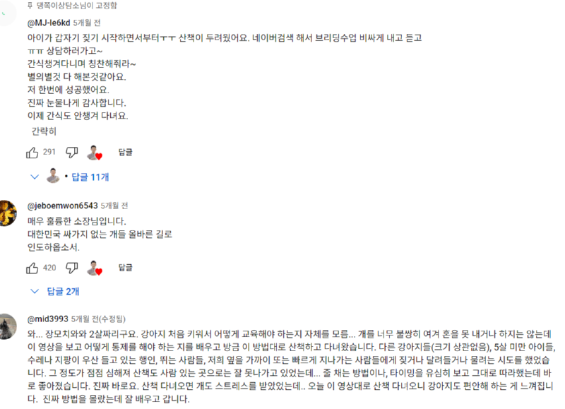 강아지 인플루언서 2탄 , 개플루언서 모음2