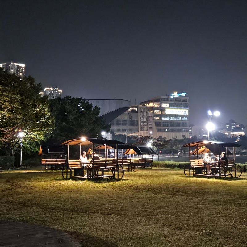 일산 호수공원 강아지 산책 