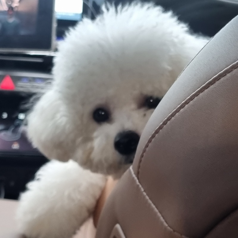 우리 귀여운 뭉치🐾🐾