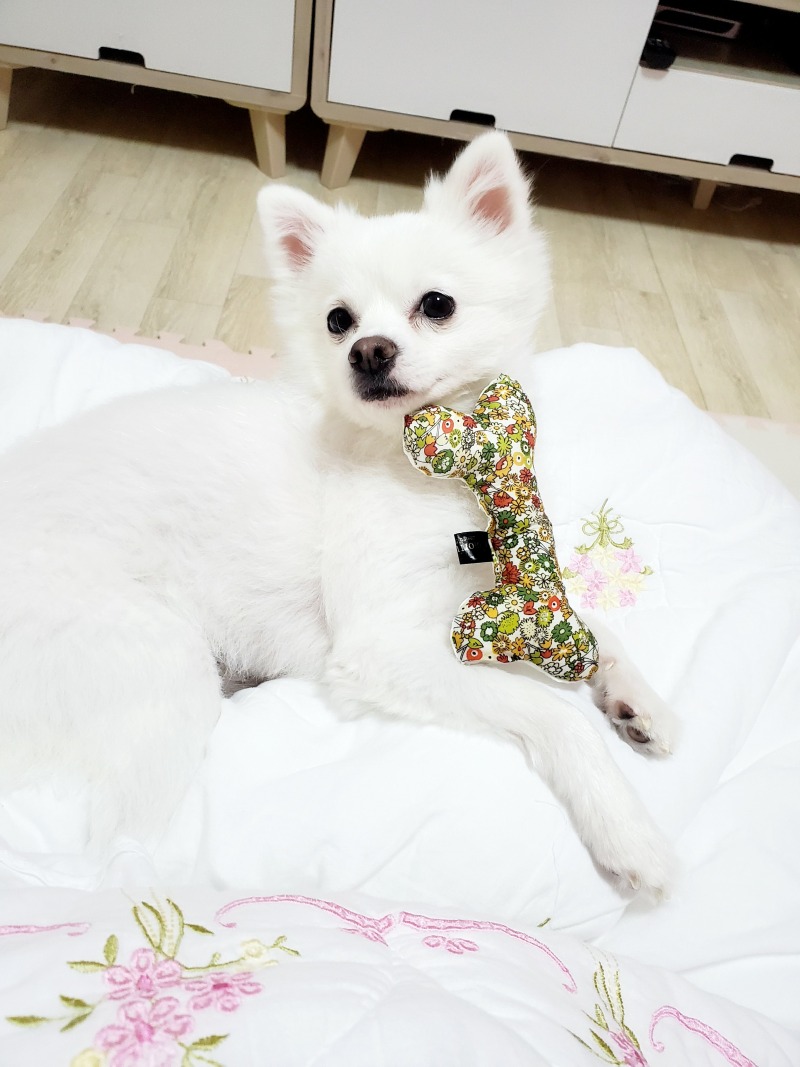 애기랑 이사온날