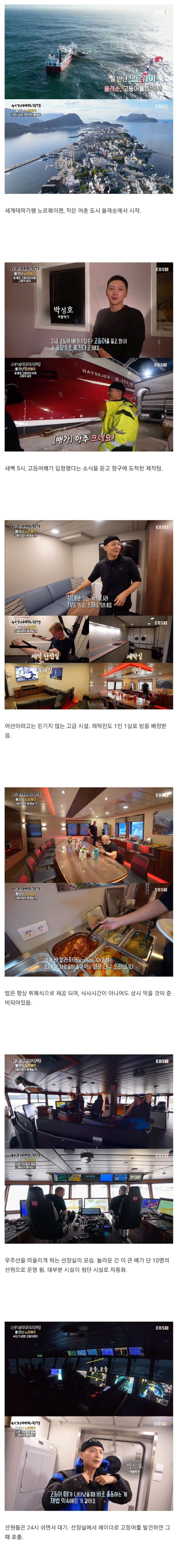 스케일이 다른 노르웨이에서 고등어 잡는 방법