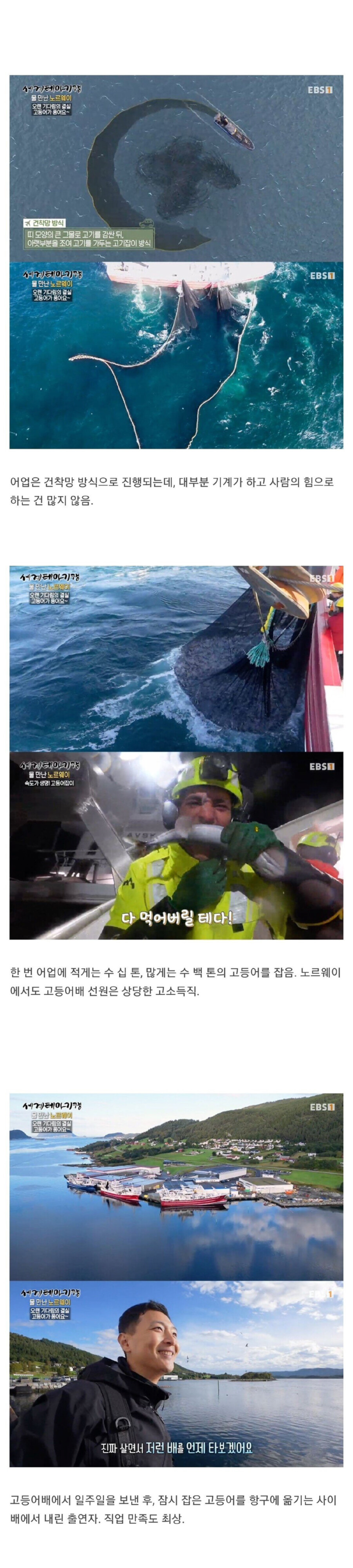 스케일이 다른 노르웨이에서 고등어 잡는 방법