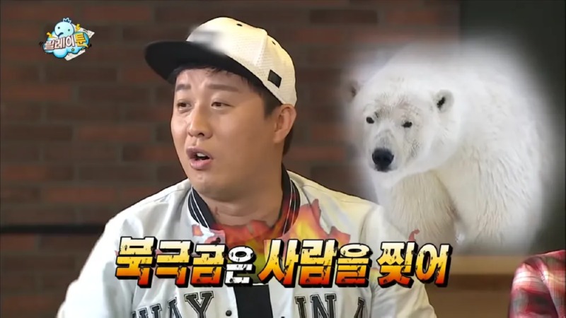 영원한 콜라곰 북극곰 (1)