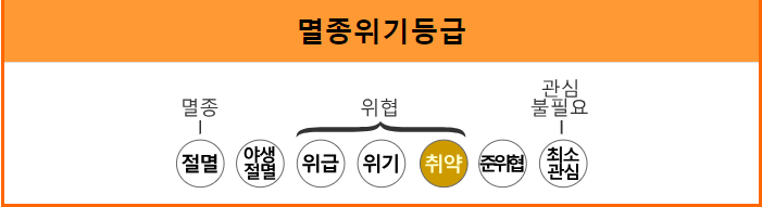 북극곰에 대한 오해와 진실 북극곰 (2)