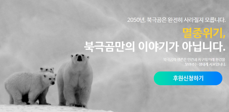 북극곰에 대한 오해와 진실 북극곰 (2)