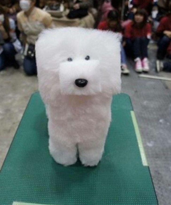 어려운 강아지 미용의 세계