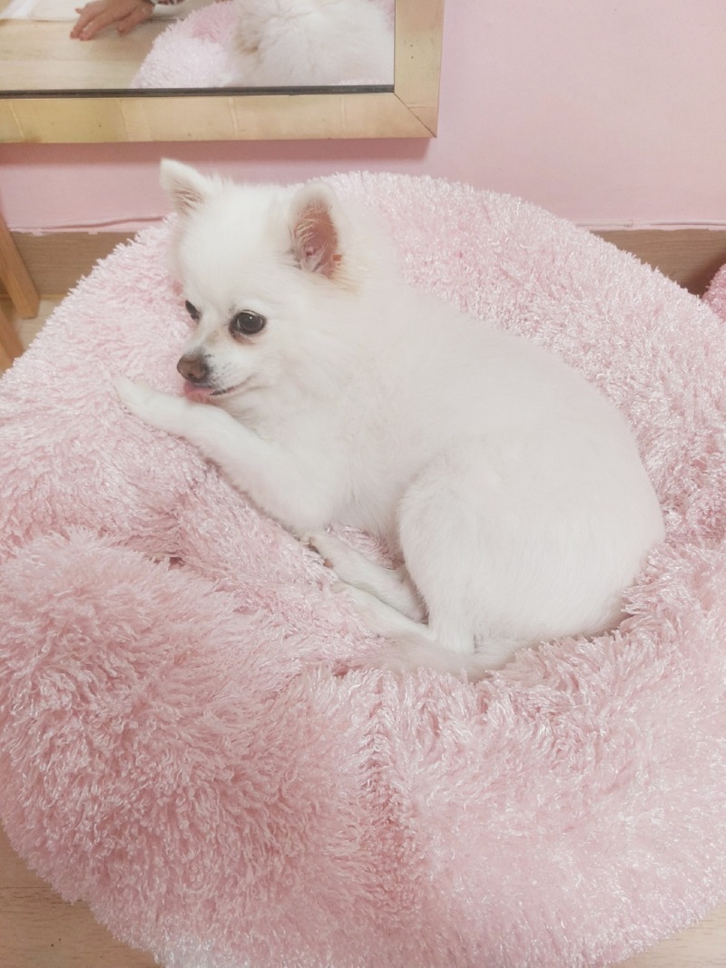 KakaoTalk_20241023_172735287_01.jpg