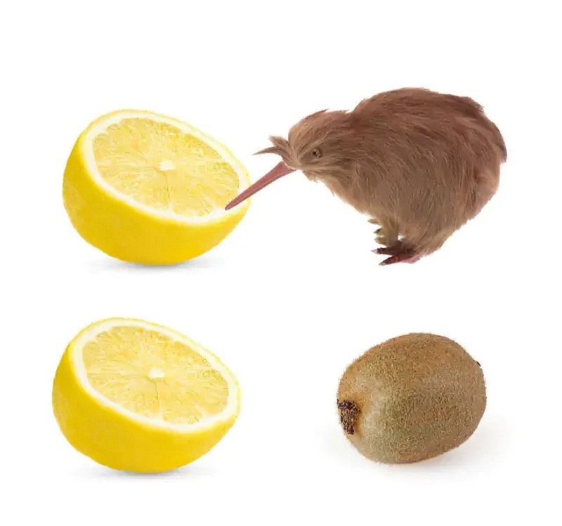 레몬 밈 