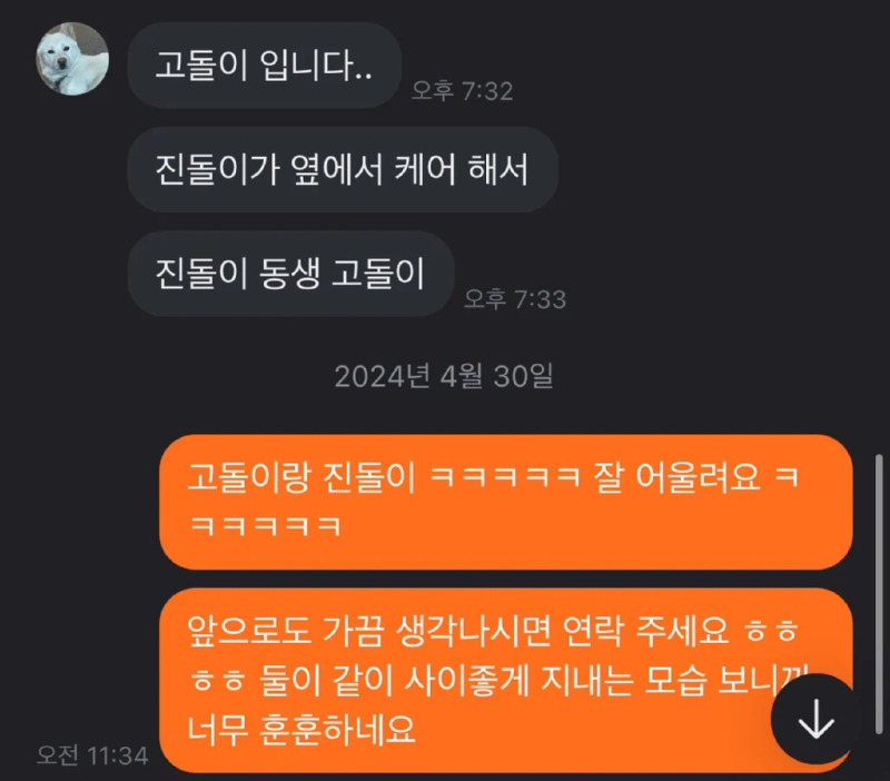 당근으로 고양이 임보를 구했다 