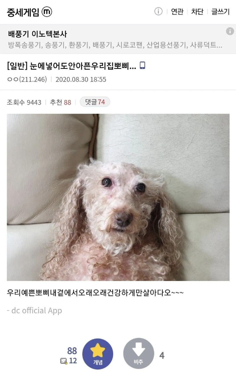 한 번 삶았냐의 주인공 정뽀삐 근황.. 