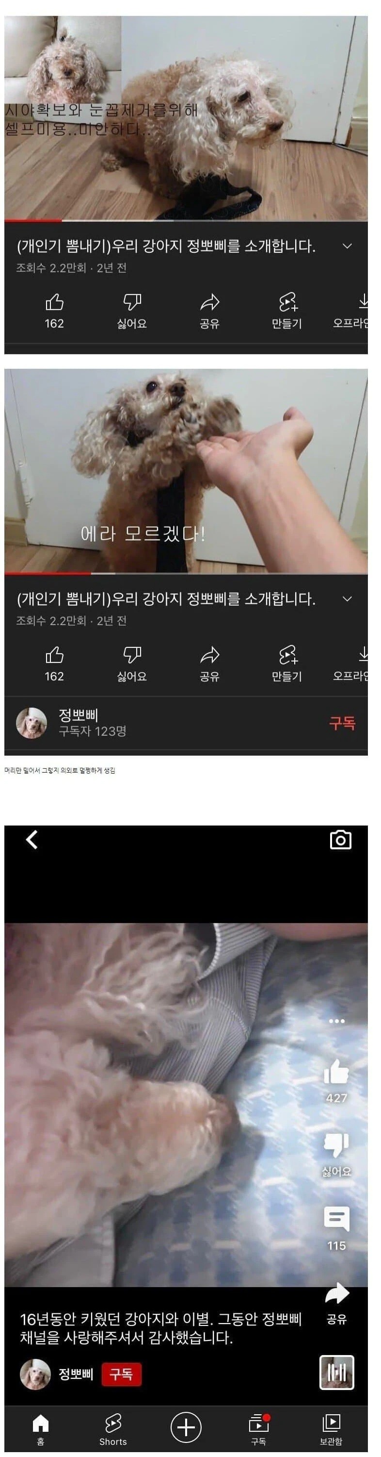 한 번 삶았냐의 주인공 정뽀삐 근황.. 