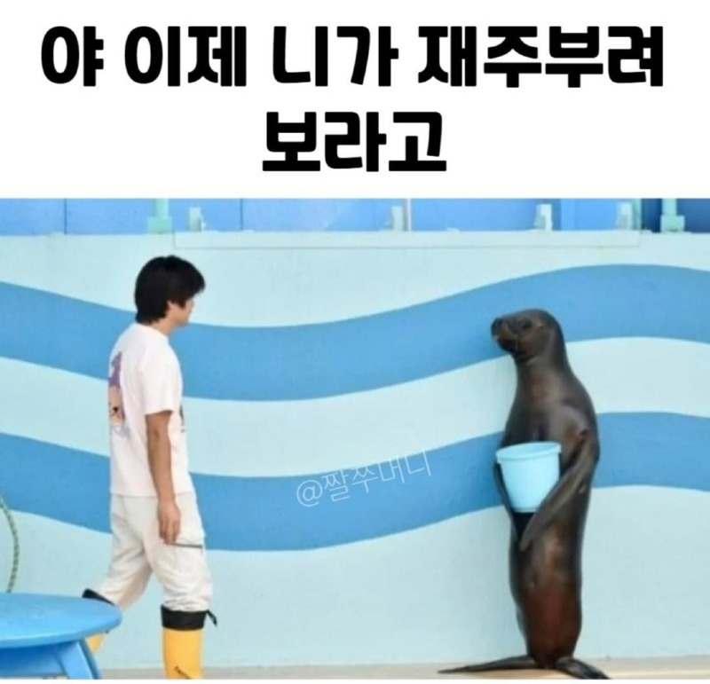 ?? : 야 니가 재주부려봐 ㅋㅋ 