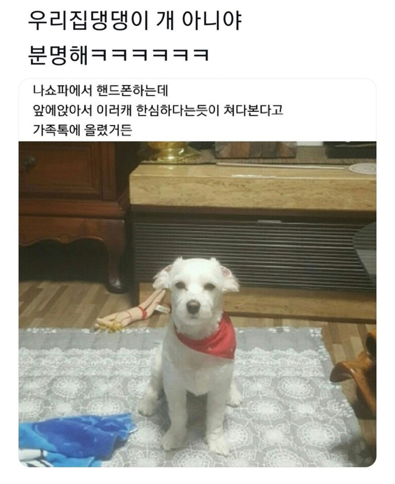 마! 너 그거 스마트폰 중독이다~! 