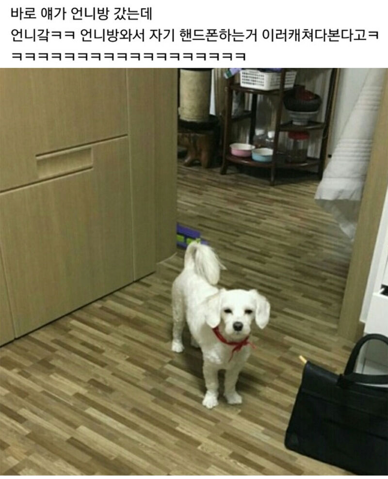 마! 너 그거 스마트폰 중독이다~! 