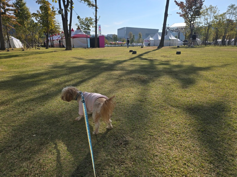 서울식물원, 호숫가에서 함께하는 반려견산책