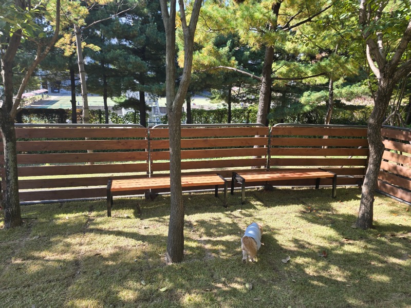 ☆☆new open! 강서 황금내근린공원 반려견쉼터